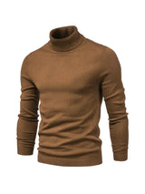 James – Herren Rollkragenpullover